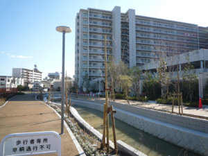 「せせらぎ遊歩道」の一部が出来上がりつつありました