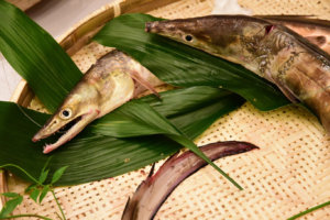 淡路島では本場の生けハモが楽しめる
