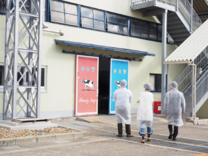 せっけん作りの基幹となる「けん化場」の扉。手先の器用な職員の一人が描いた赤箱・青箱の絵がお出迎え