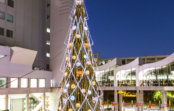 ドイツ・クリスマスマーケット大阪2018 梅田スカイビルで今年も 初日11月16日(金)は点灯式を開催 ドイツ・クリスマスマーケット大阪2018 梅田スカイビルで今年も 初日11月16日(金)は点灯式を開催