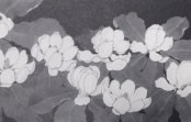 白黒で描くかれんな姿 片山治之野の花展 梅田と川西で 白黒で描くかれんな姿 片山治之野の花展 梅田と川西で