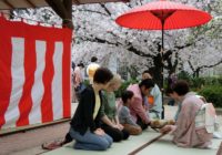 4/6（土）大阪・中大江公園で「桜まつりお茶会」能の上演や和太鼓演奏も