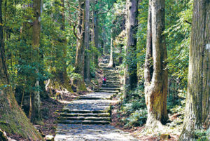 熊野古道・大門坂