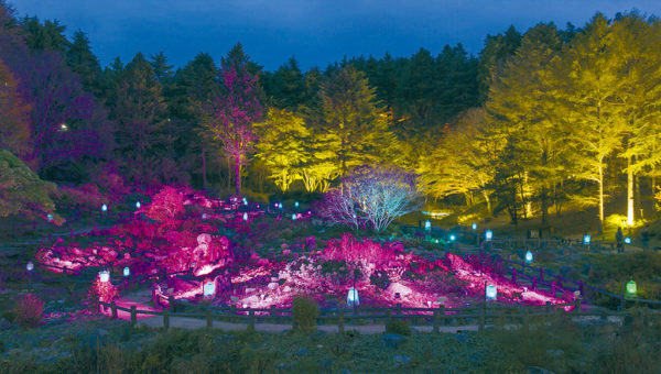 髙橋匡太「Glow with Night Garden Project in Rokko 提灯行列ランドスケープ」2018年
