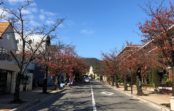 県西にスポットを当てて11/9(土)開催「上ヶ原文教地区セミナー&まちあるきⅡ・学んで歩こう 上ヶ原」 県西にスポットを当てて11/9(土)開催「上ヶ原文教地区セミナー&まちあるきⅡ・学んで歩こう 上ヶ原」