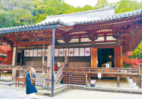 冬の美術館やカフェ巡りはいかが？奈良市西部で初の観光キャンペーン
