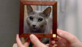 Netflixで公開中の「Copy Cat（猫の肖像）」で宝塚市出身の出野圭太さんが第49回エミー賞にノミネート