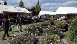 恒例のオープンガーデンフェスタ　宝塚で開催 「植木まつり」では季節の草花や植木の販売も