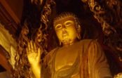 10/22(日)「身代わり丈六釈迦如来」戒光寺本堂修復記念特別公開 参加申し込みはお早めに 10/22(日)「身代わり丈六釈迦如来」戒光寺本堂修復記念特別公開 参加申し込みはお早めに