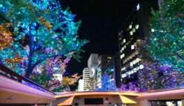 夜の大阪を周遊　２階建てオープントップバスがデビュー西日本ＪＲバス「なにワンダー」 12/24まで運行中