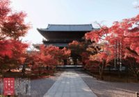 京都で紅葉を愛でるウォーキング　11/12、13開催JR東海「そうだ 京都、行こう。」特別イベント