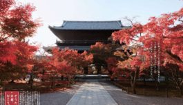 京都で紅葉を愛でるウォーキング　11/12、13開催JR東海「そうだ 京都、行こう。」特別イベント