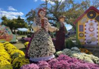 福井県越前市で11/6（日）まで「たけふ菊人形」開催、OSK日本歌劇団レビューも毎日！