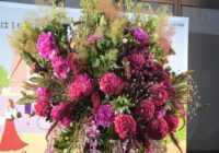 淀屋橋オドナが開業10周年　花で彩り、買い物券のプレゼントも