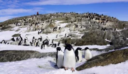 南極観測70周年、その挑戦の軌跡を辿る。日本科学未来館で「大南極展」7月開幕